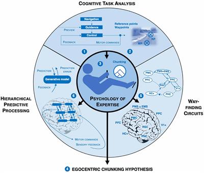 Egocentric Chunking in the Predictive Brain: A Cognitive Basis of Expert Performance in High-Speed Sports